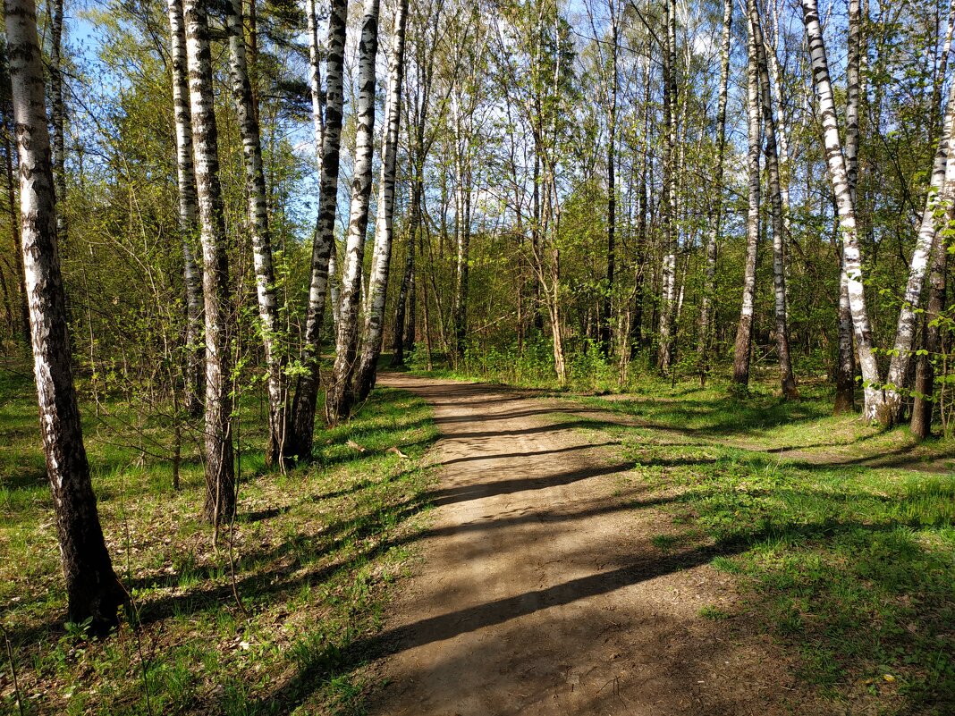 Об уходящей прозрачности апрельского леса (по календарю!) - Андрей Лукьянов Об уходящей прозрачности апрельского леса (по календарю!) - Андрей Лукьянов