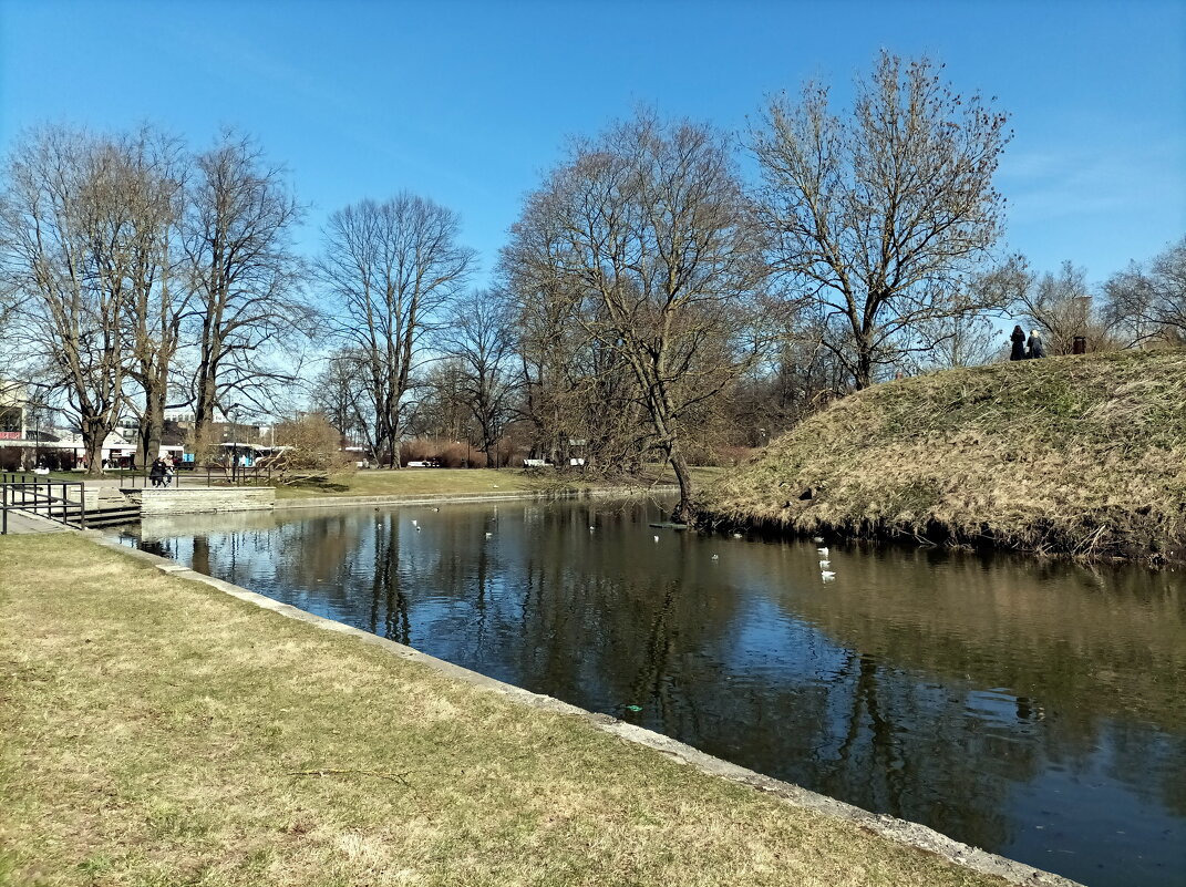 Тоомпарк – парк и пруд Шнелли, Таллин - Veera V