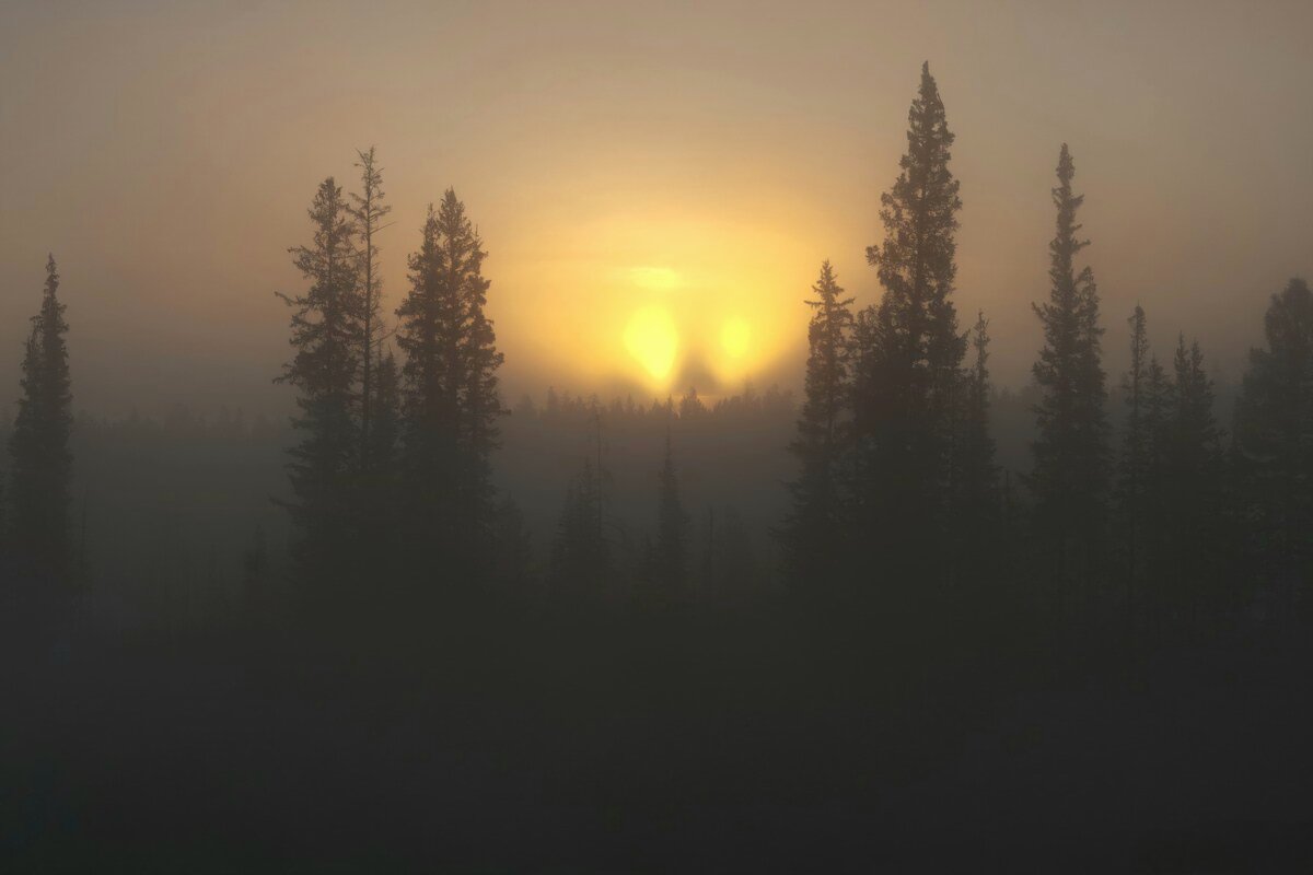 Восход - Виктор Фоменко