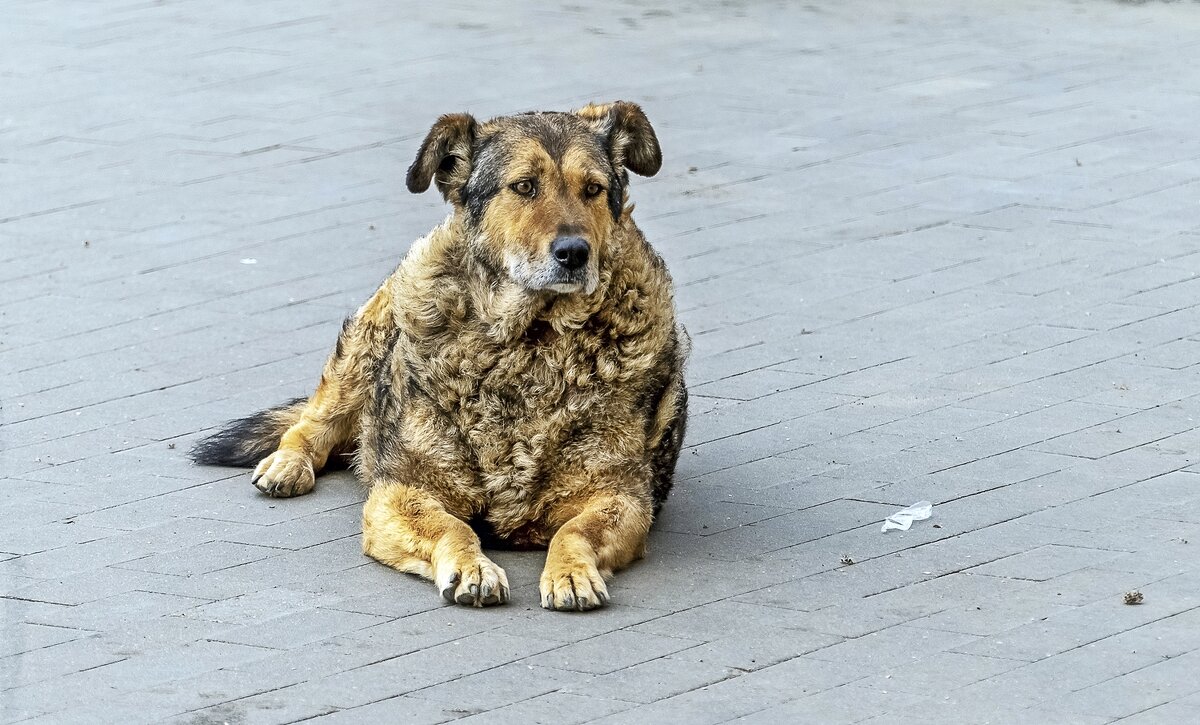 Одинокая старость - Валерий Иванович