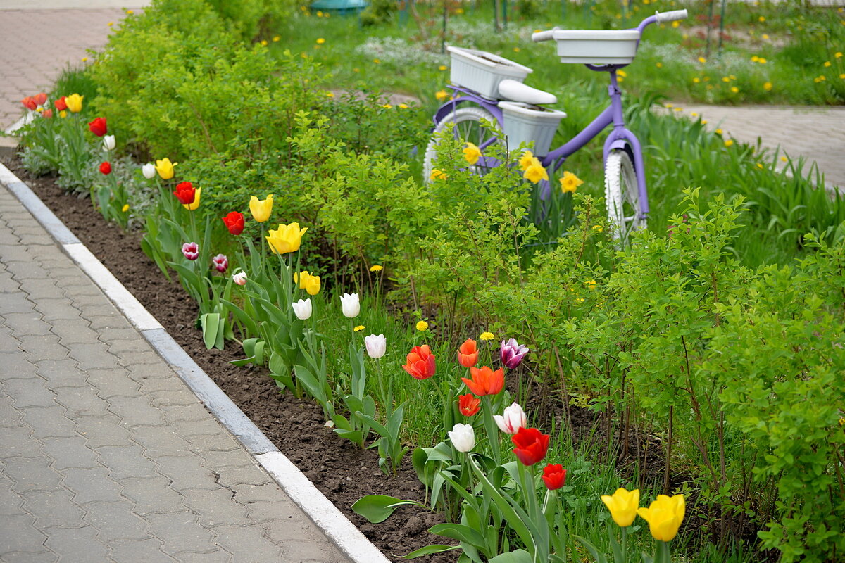 Красота у подъезда - Сеня Белгородский