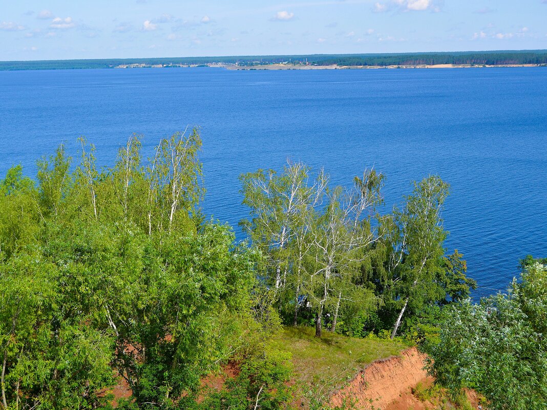 Чебоксары. Берёзки на склонах правого берега Чебоксарского водохранилища. - Пётр Чернега Чебоксары. Берёзки на склонах правого берега Чебоксарского водохранилища. - Пётр Чернега