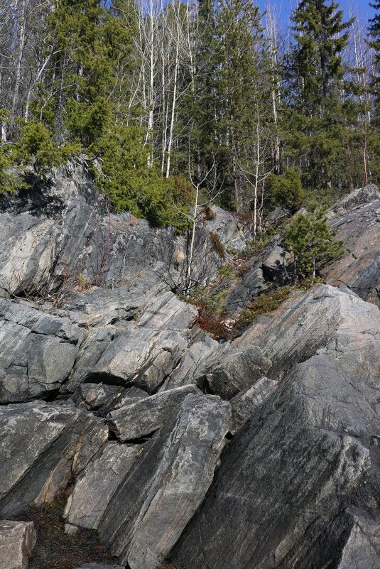 Приморские скалы - Ольга Приморские скалы - Ольга