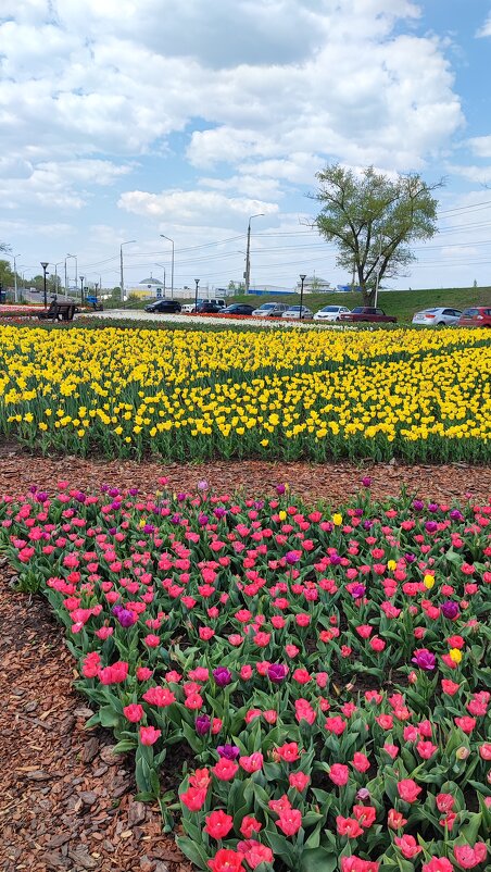 ,,, - Сергей Тимоновский ,,, - Сергей Тимоновский