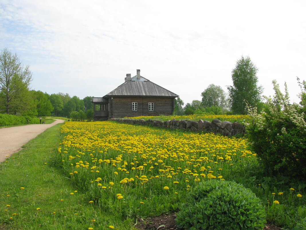 Одуванчиковый рай - Олег Зоркий