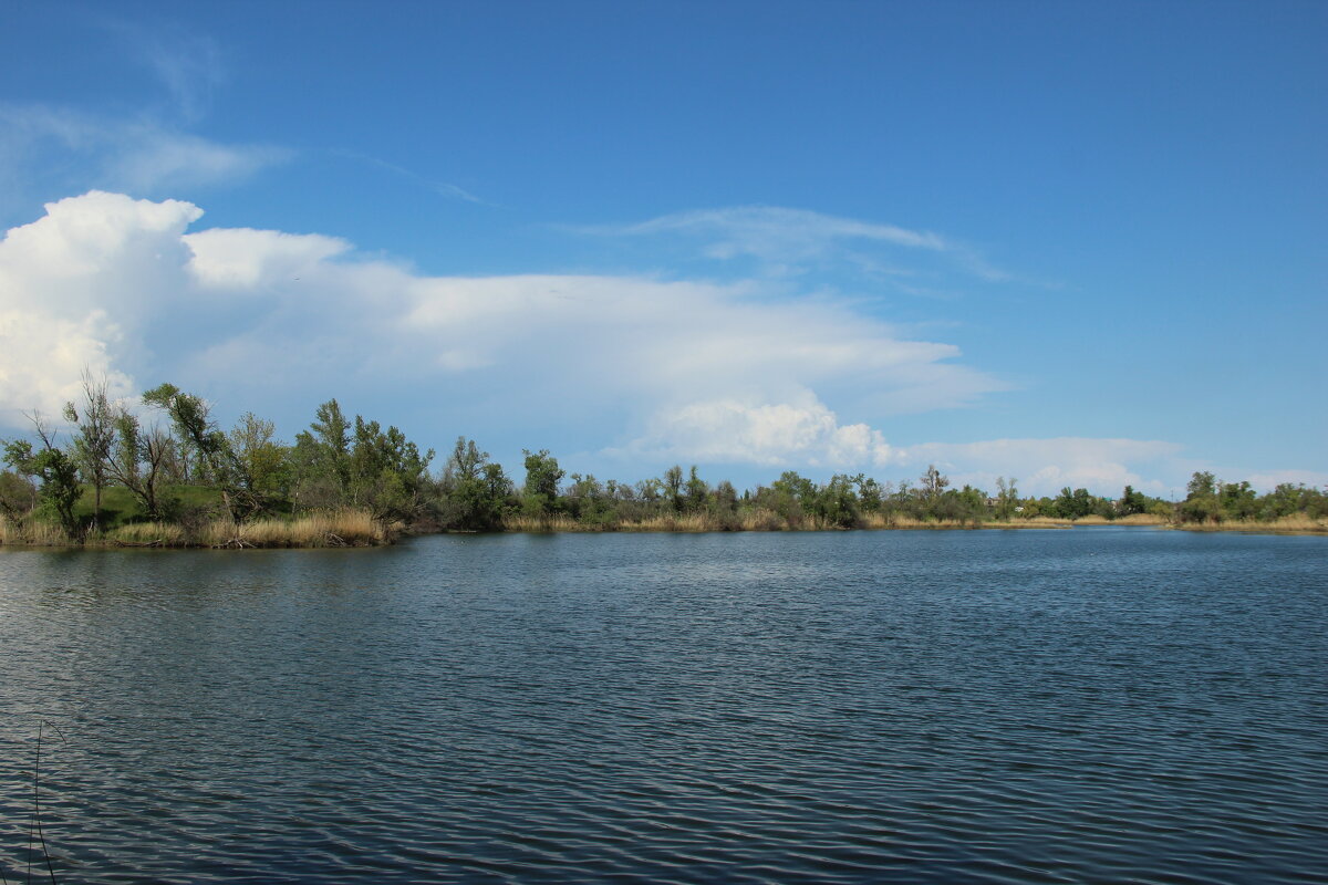 Дон. - Виктор Дон. - Виктор