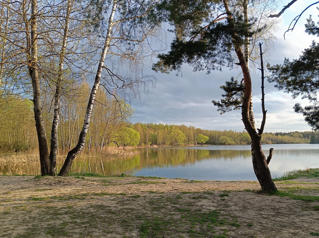 Весенний пейзаж - Леонид Иванчук Весенний пейзаж - Леонид Иванчук