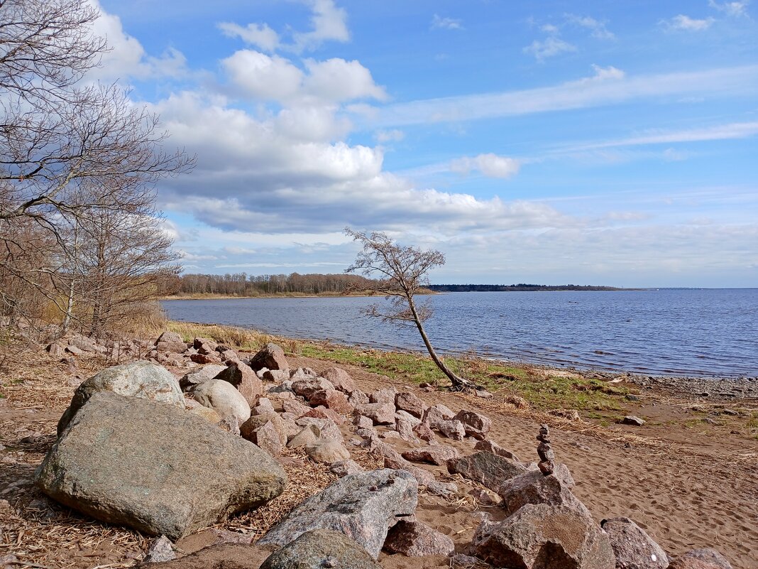 На берегу Финского залива... - Лия ☼ На берегу Финского залива... - Лия ☼
