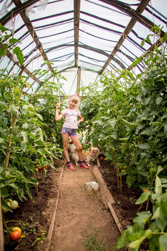 Теплица - Тамара Федорова