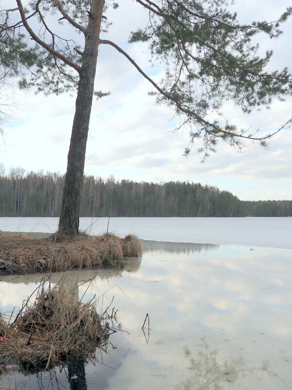 2. Весенние проталины - Юрий Велицкий