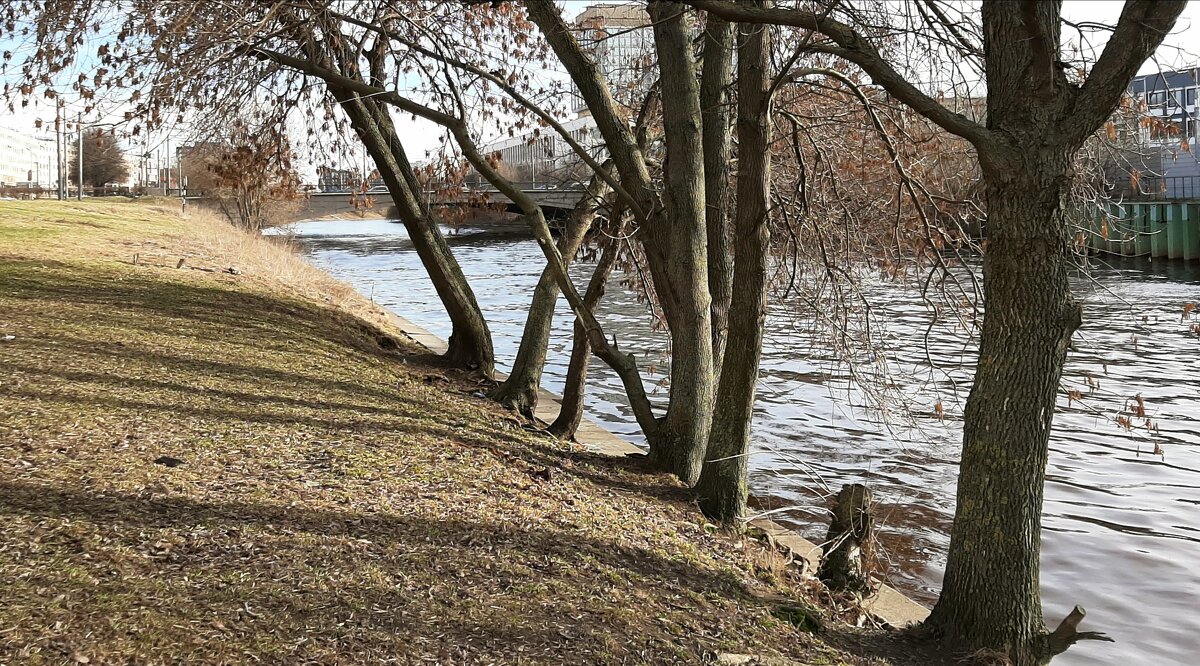р. Охта - Наталья Герасимова р. Охта - Наталья Герасимова