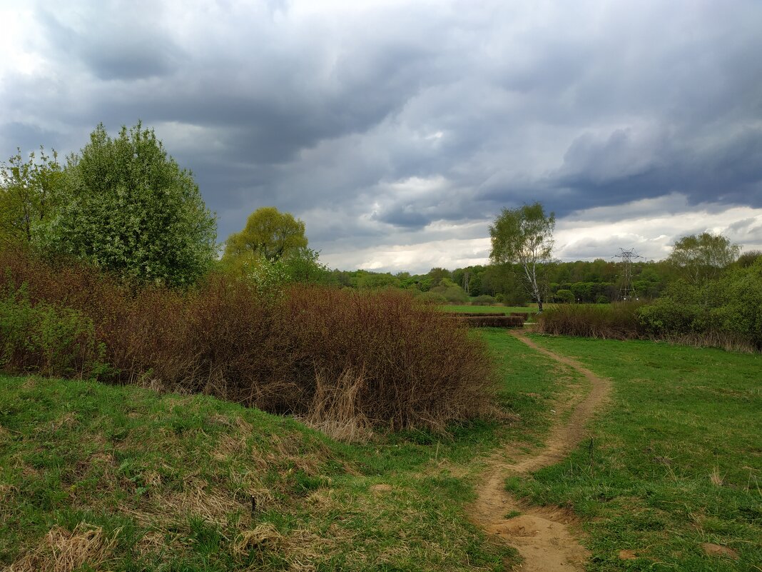У природы нет плохой погоды для снимающего - Андрей Лукьянов