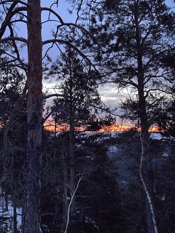 Вечер - Георгиевич 