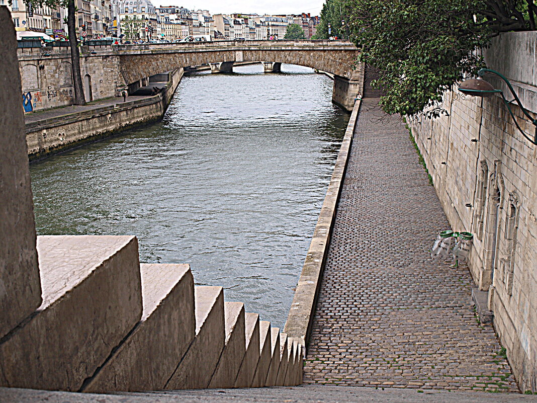 Париж. - Владимир Драгунский