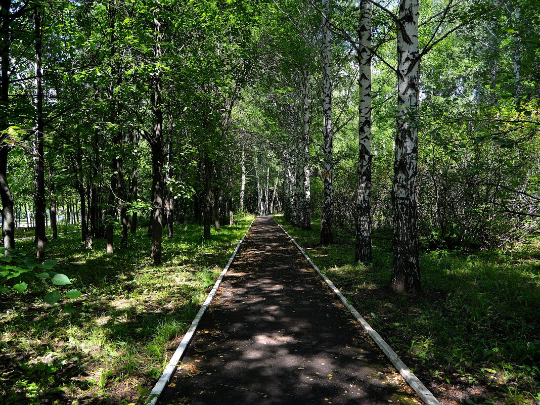 Чебоксары. Сквер им. 50-летия ВЛКСМ летом. - Пётр Чернега