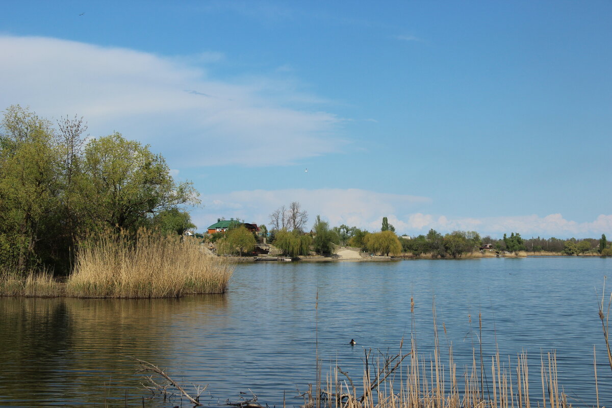 Дон. - Виктор 