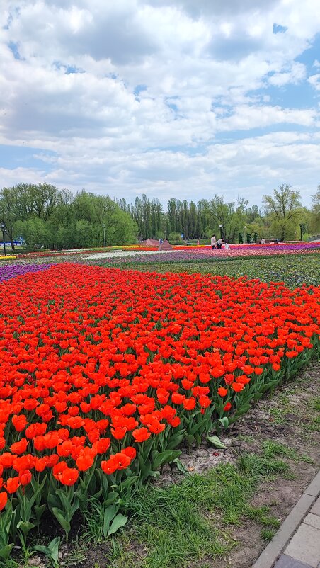 ,,, - Сергей Тимоновский