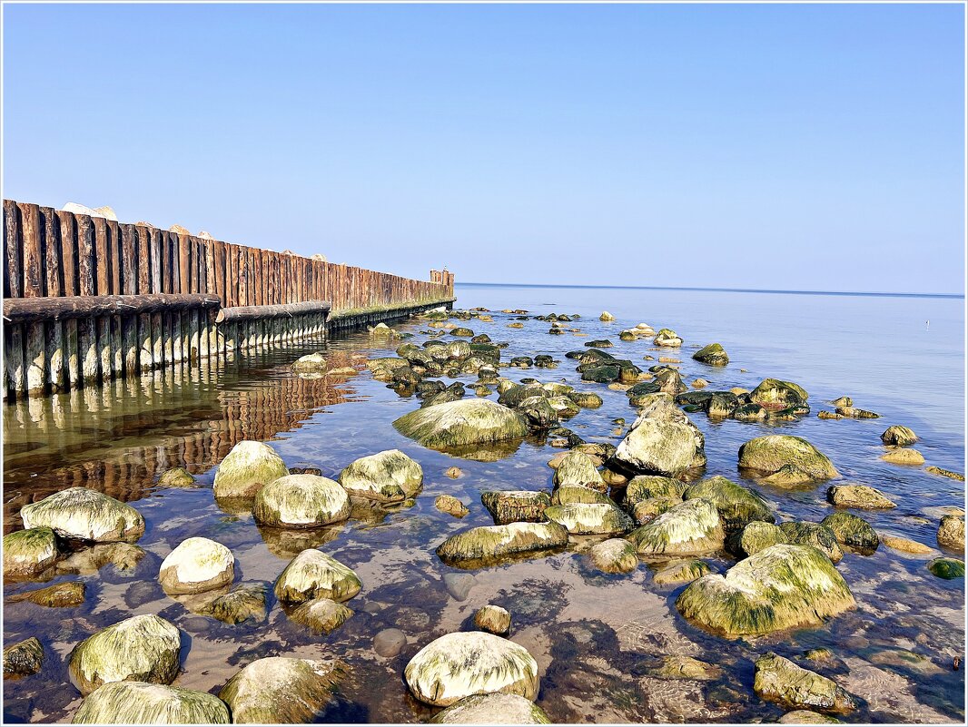 На Балтике. - Валерия Комова На Балтике. - Валерия Комова