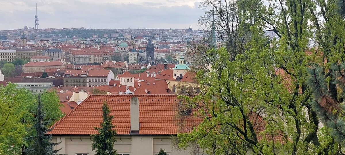 В Првге - Ирэн 