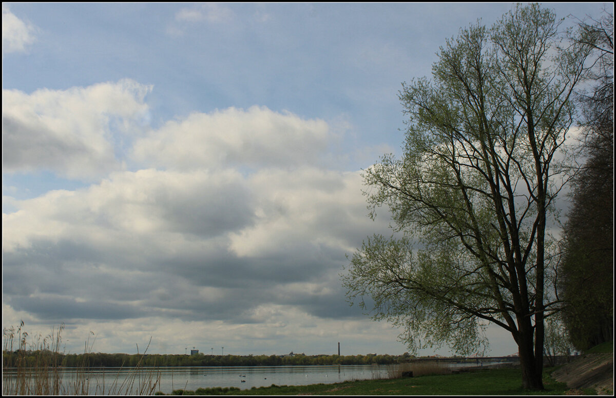 Тучки собираются - Aleksandr Gal