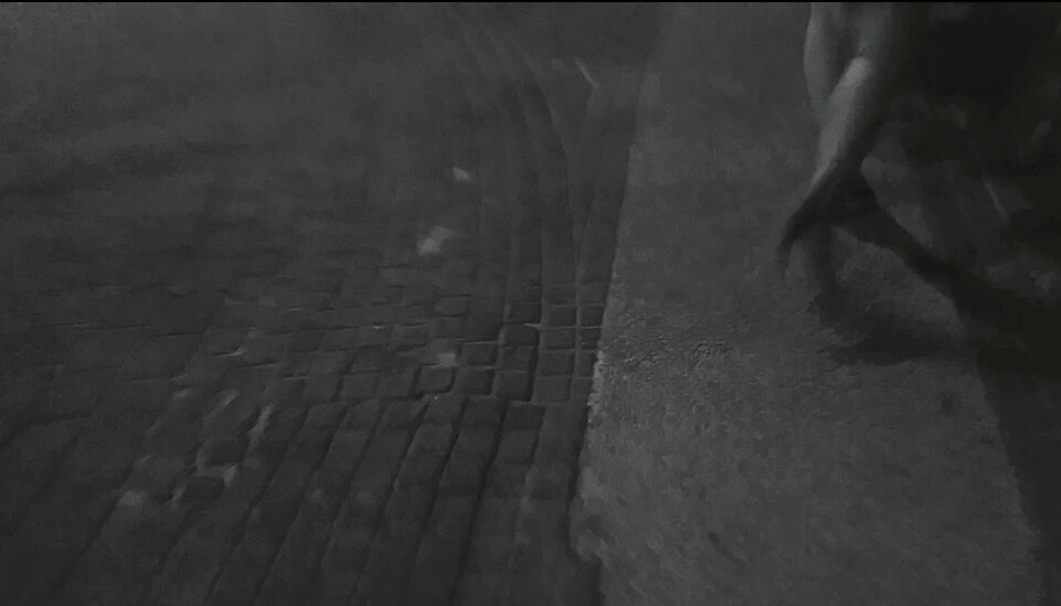 111 (42) - СТРЕН 