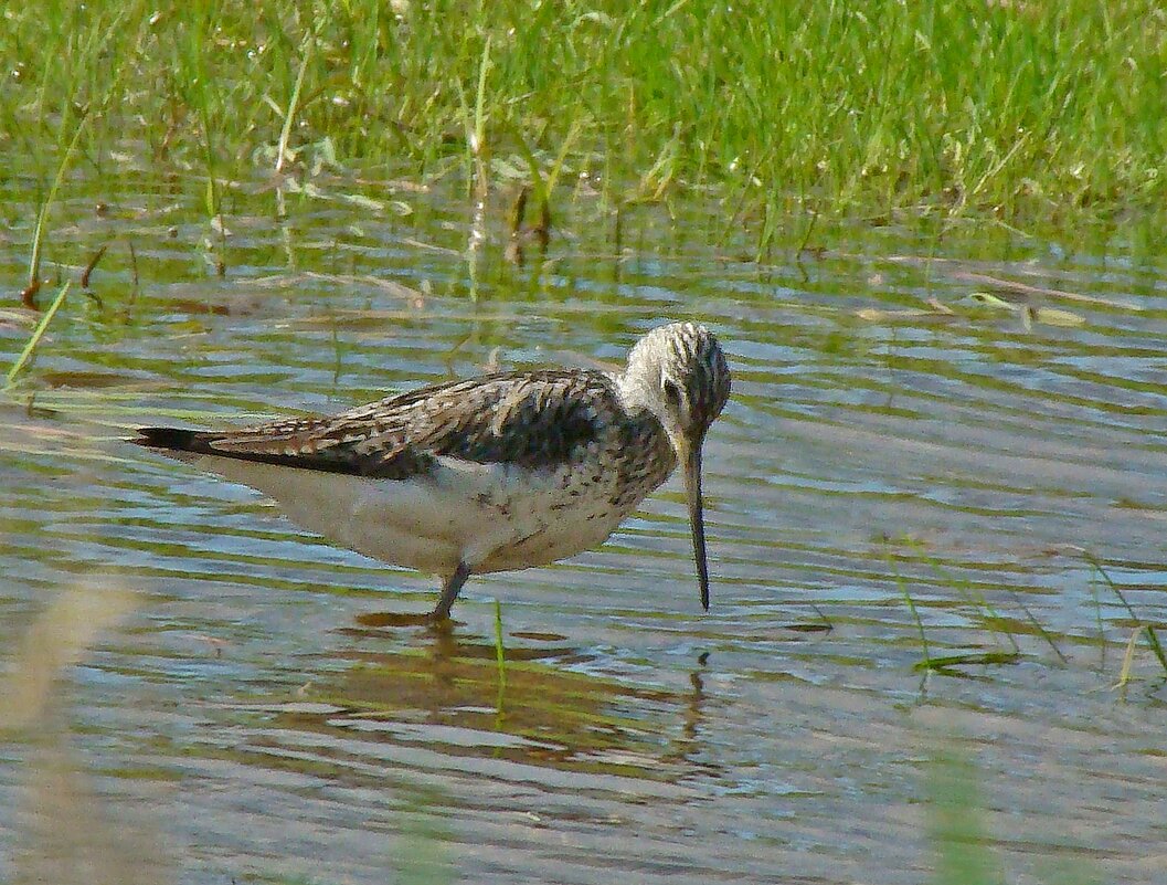 гляжу в озера синие - gawrilа - dan гляжу в озера синие - gawrilа - dan