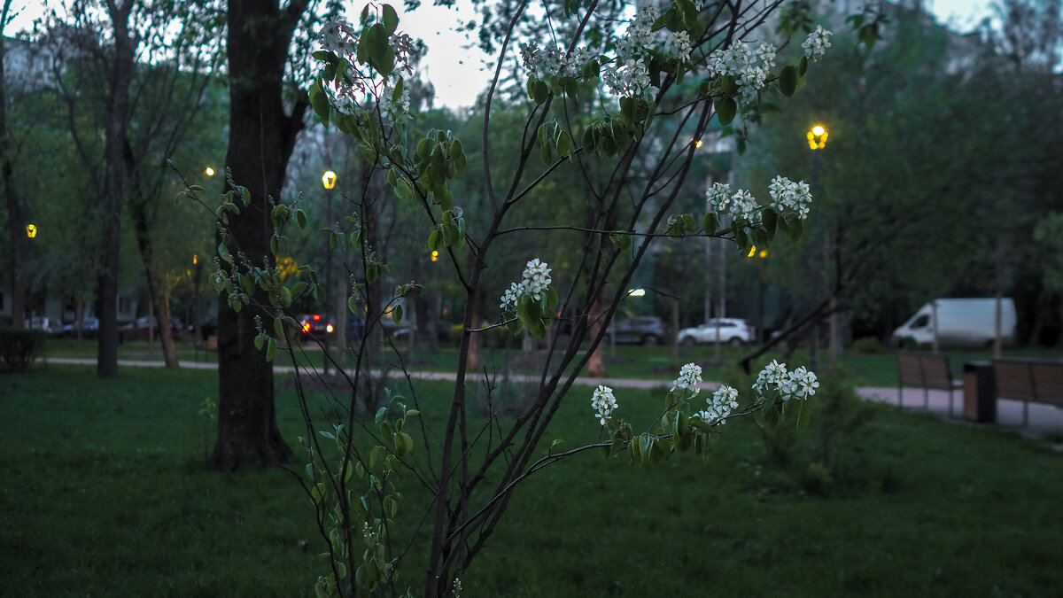 ***** - юрий поляков