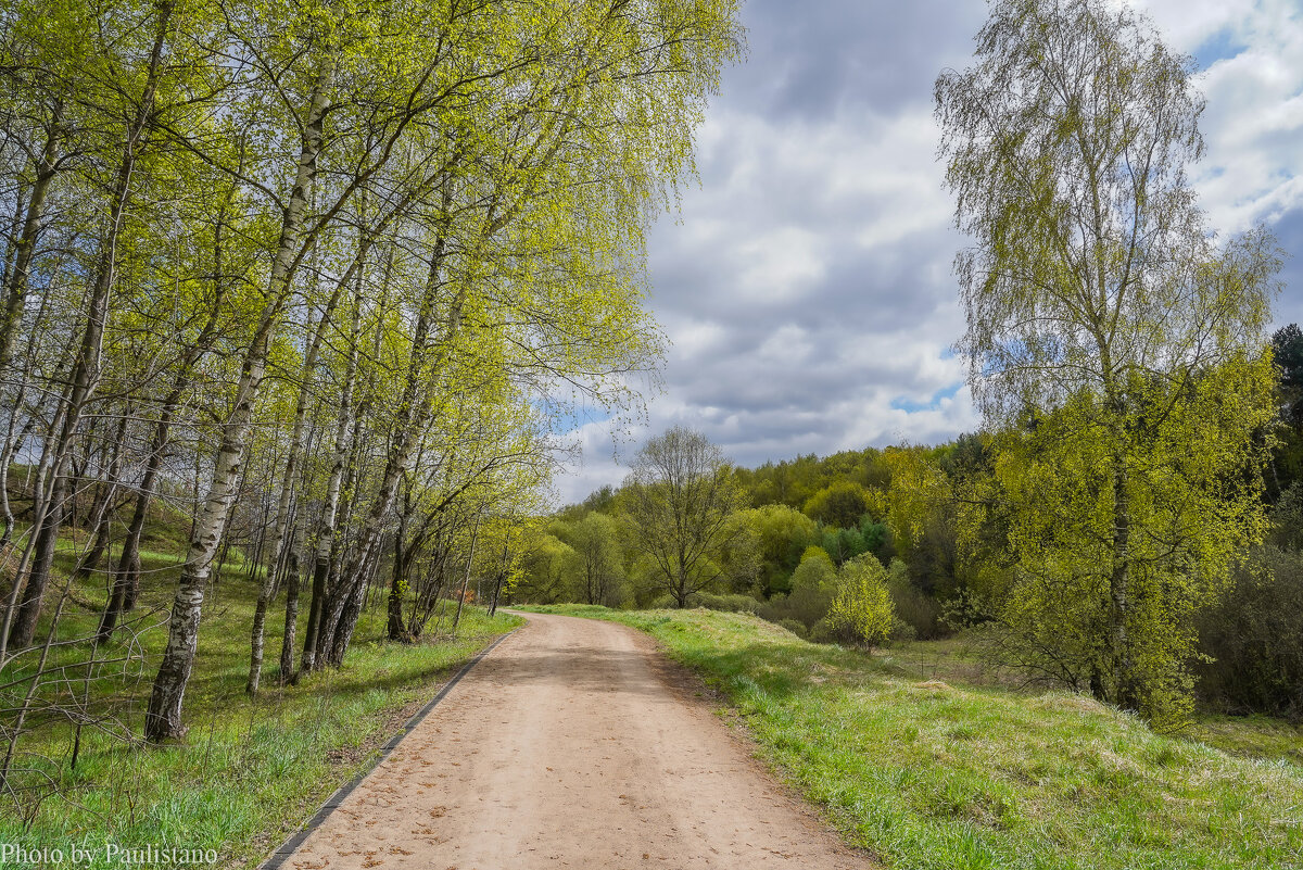 Зелёный апрель... - Владимир Жданов Зелёный апрель... - Владимир Жданов