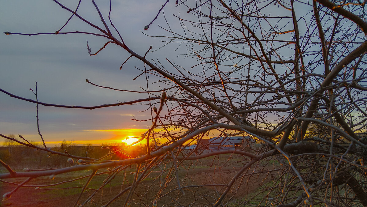 Апрель балует закатами☀️ - Анастасия Логинова Апрель балует закатами☀️ - Анастасия Логинова
