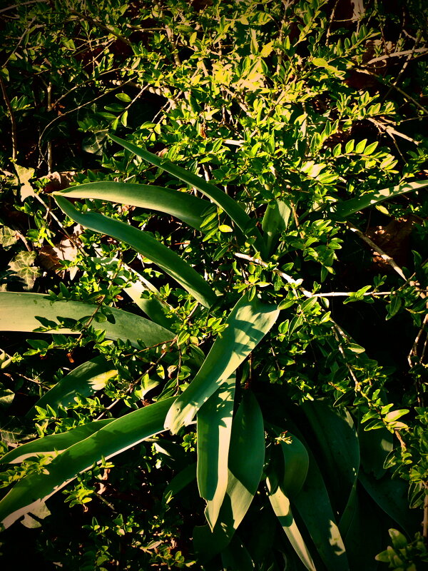 Весенние зарисовки 103 - Алексей Кузнецов