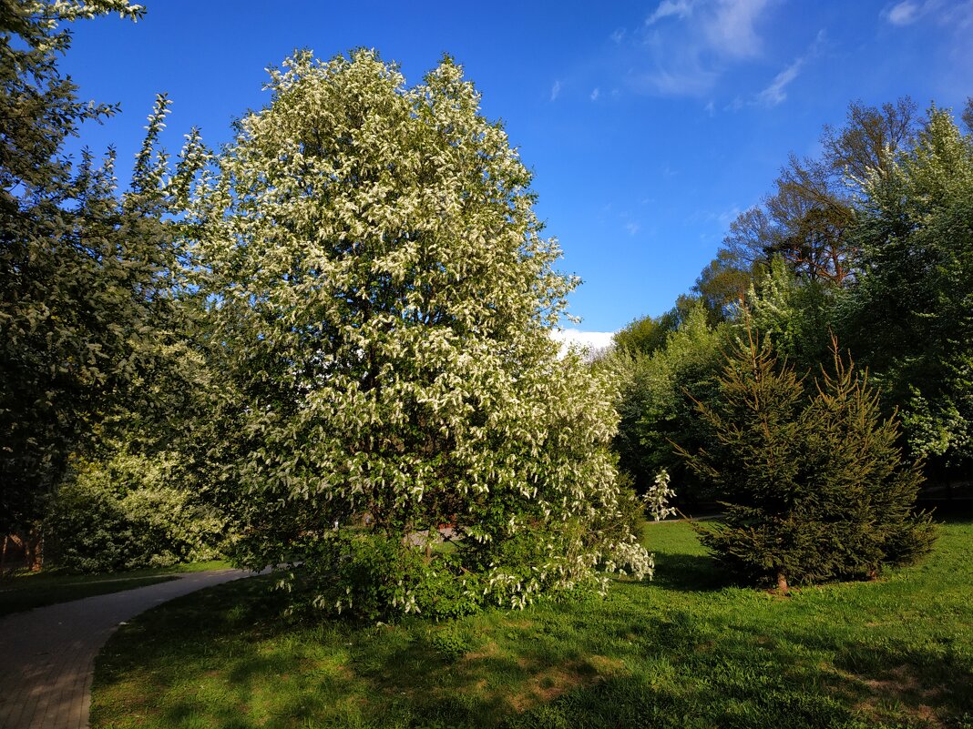 Приметы апреля - Андрей Лукьянов Приметы апреля - Андрей Лукьянов