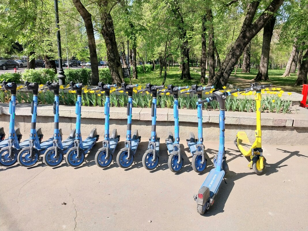 Almaty. - Murat Bukaev 