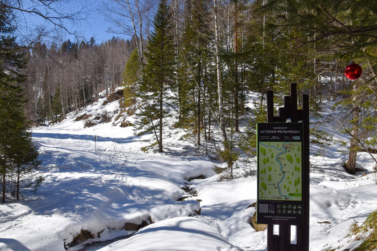 В Алтайском крае - Владимир Звягин
