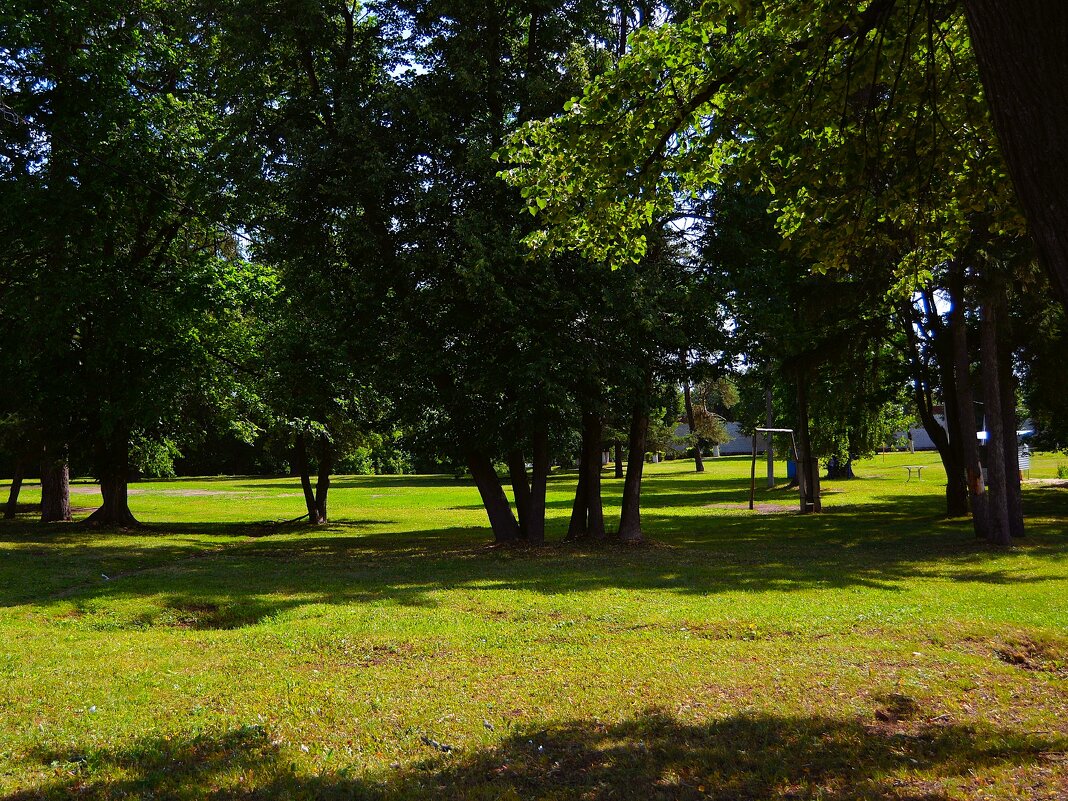 Чебоксары. Лесопарк Московской набережной. - Пётр Чернега