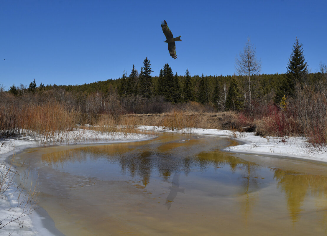 Отражения весенней речушки - Сергей Шаврин