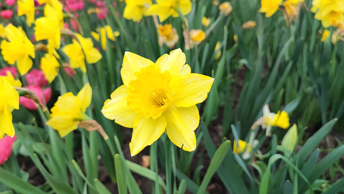 ,,, - Сергей Тимоновский