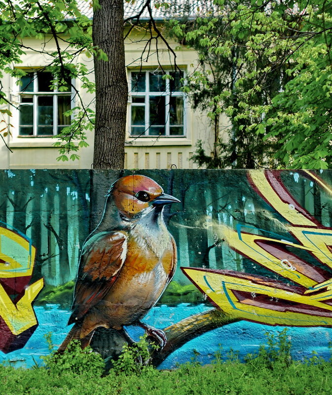 И дома бывают разными... - Николай Саржанов