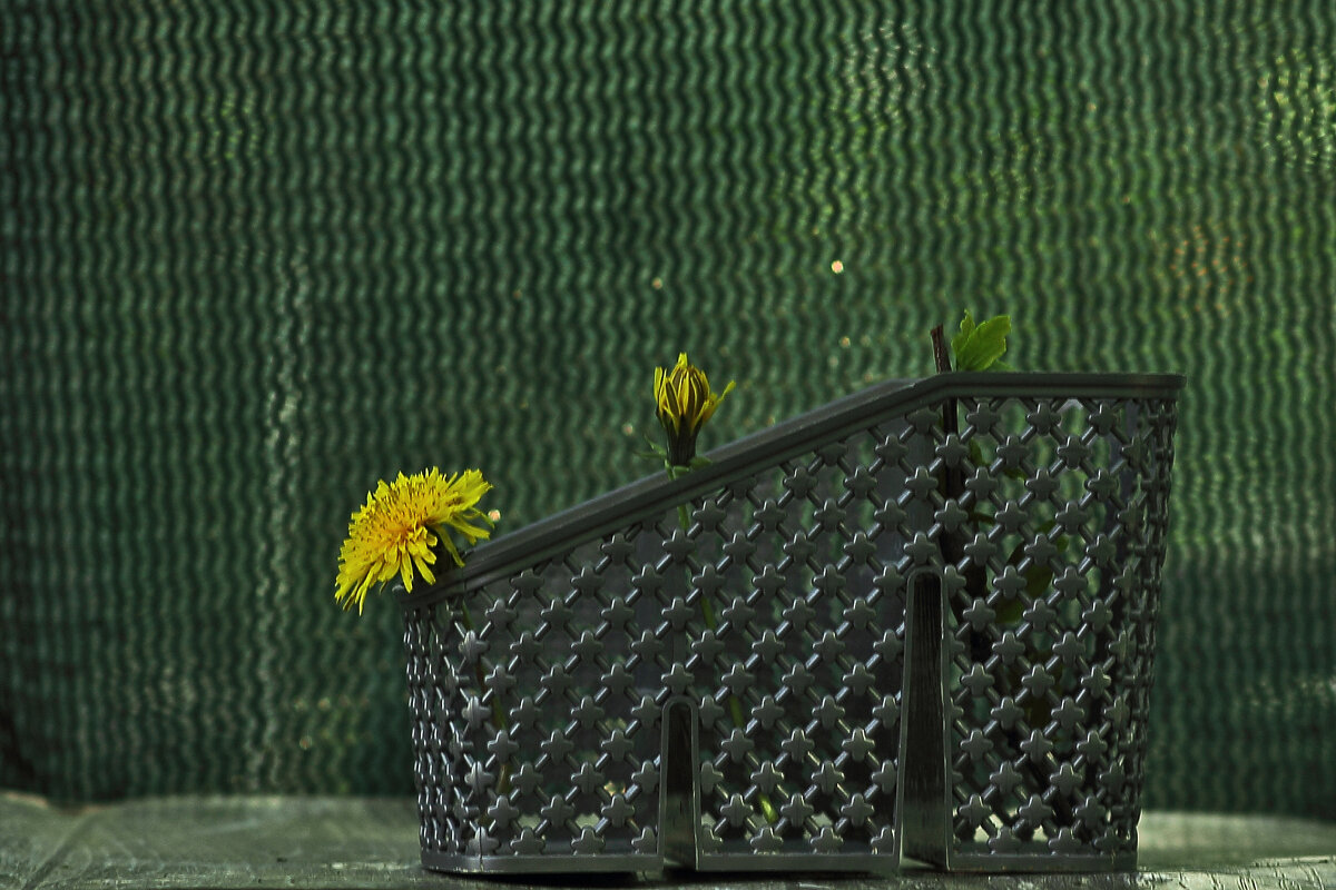 В коробочке - Юрий Гайворонскiий