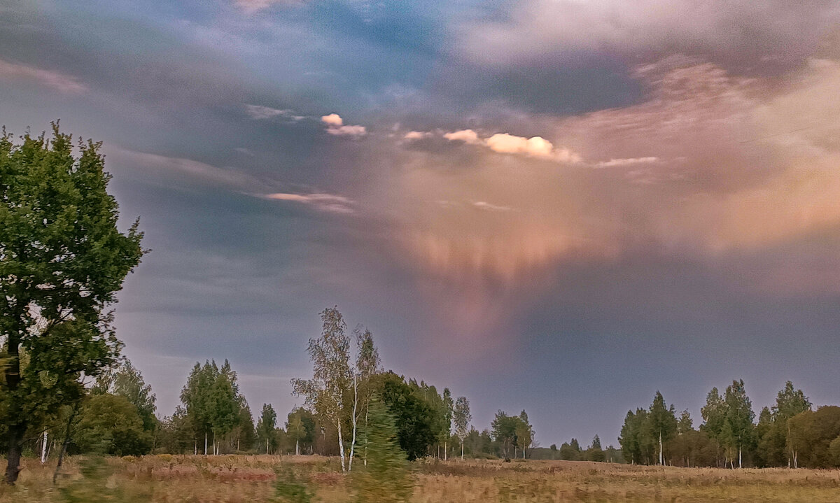 Путешествие по Брянской области - Sergei Vikulov