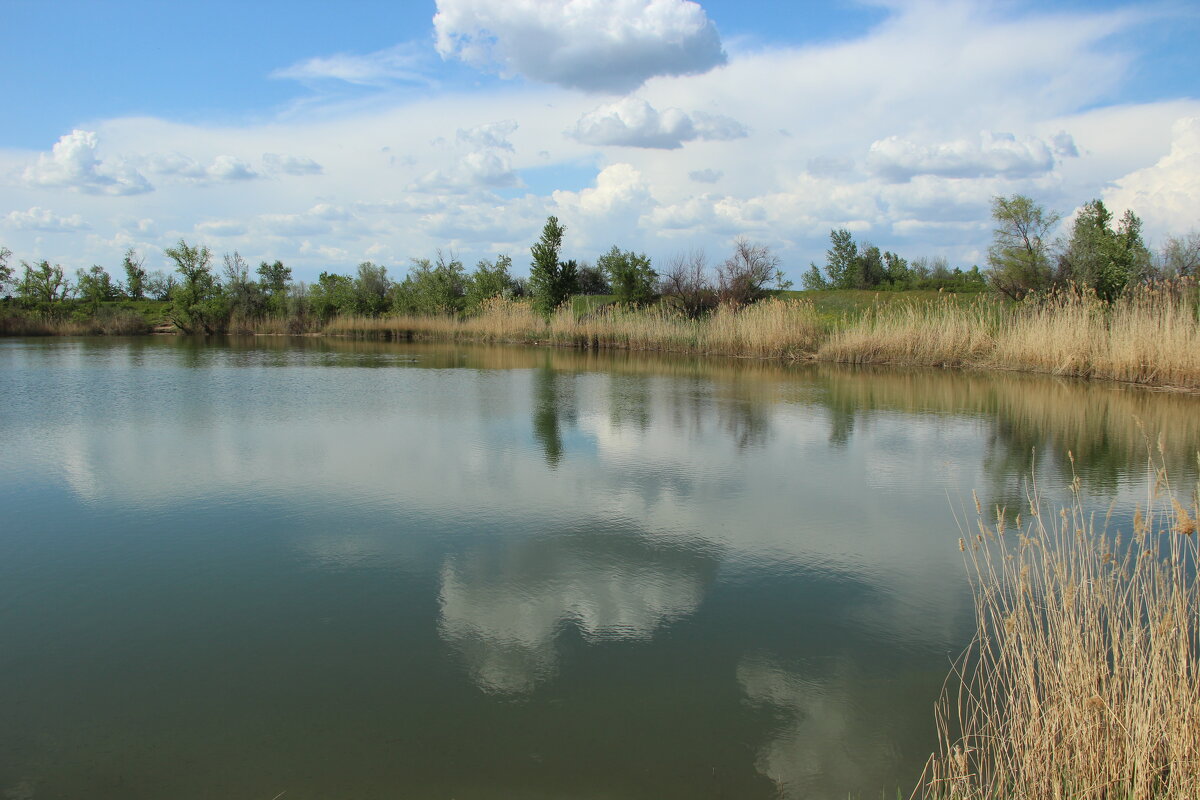 У реки. - Виктор 