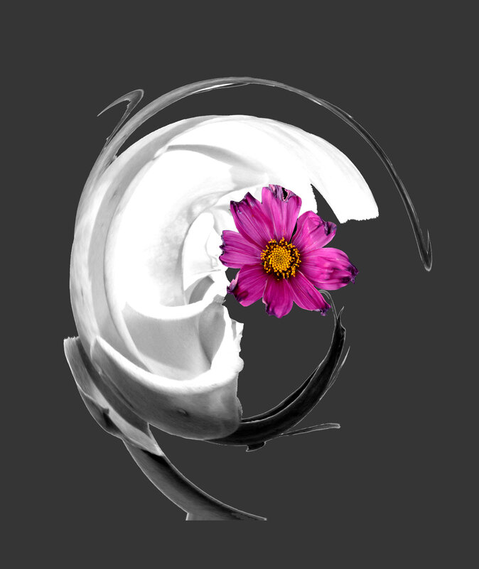 Симбиоз - Ivan VIKAR