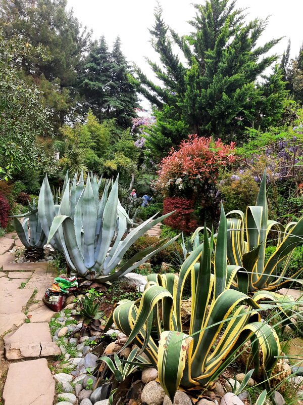 УЮТНЫЙ УГОЛОК - Tata Wolf