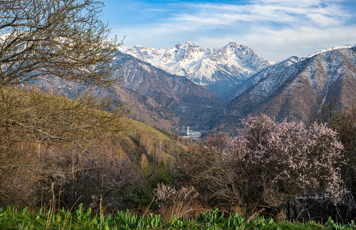 Весеннее... - Сергей Мурзин Весеннее... - Сергей Мурзин