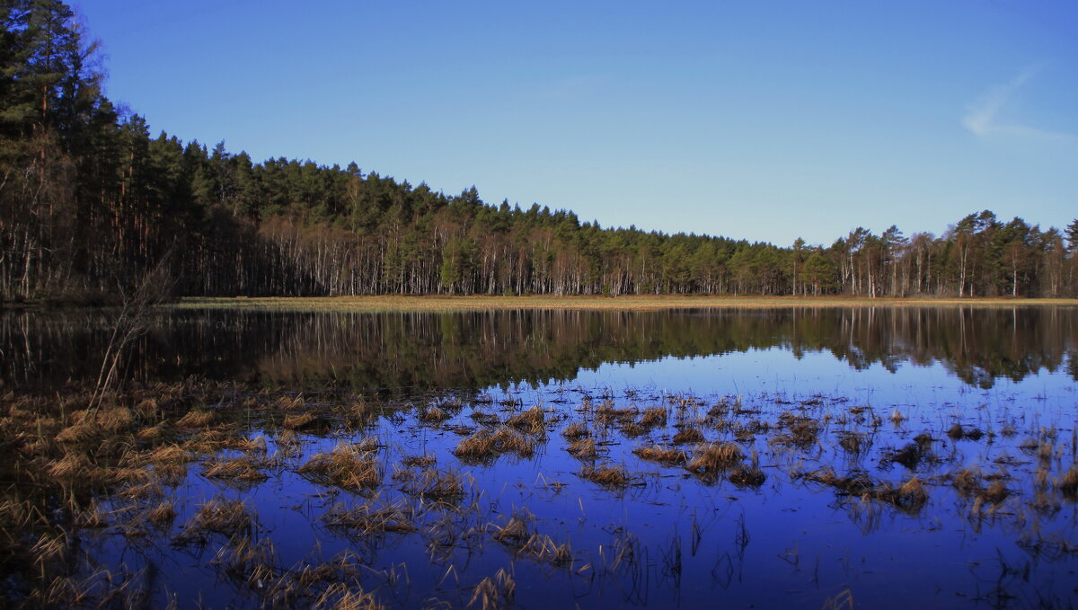 Оттенки апреля.. - Татьян@ Ивановна Оттенки апреля.. - Татьян@ Ивановна