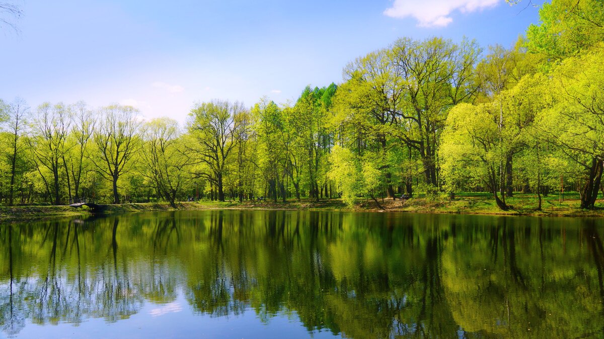 Очарование весны - Наталья Лакомова