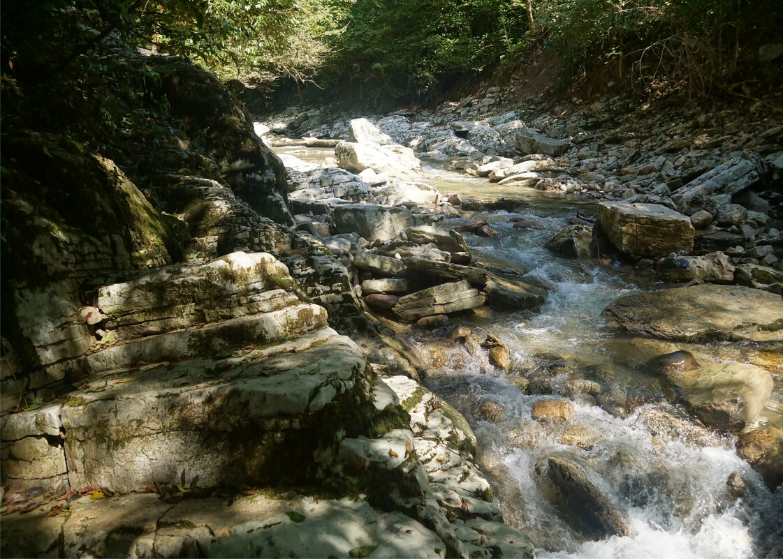 Река Хоста - Наталия Григорьева