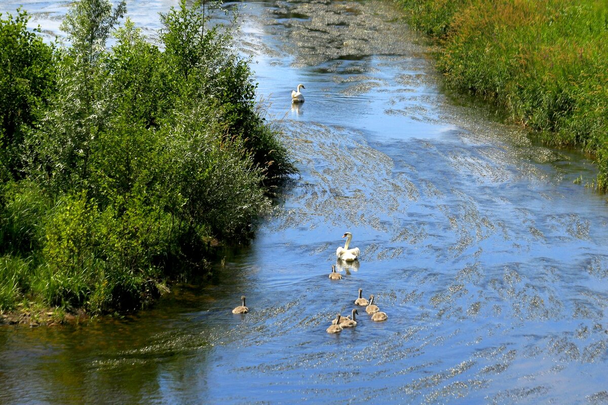 Дети,а это ваш папа - Юрий. Шмаков