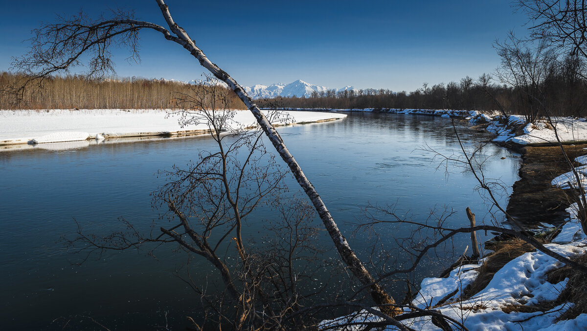 ... - Жора Житников ... - Жора Житников