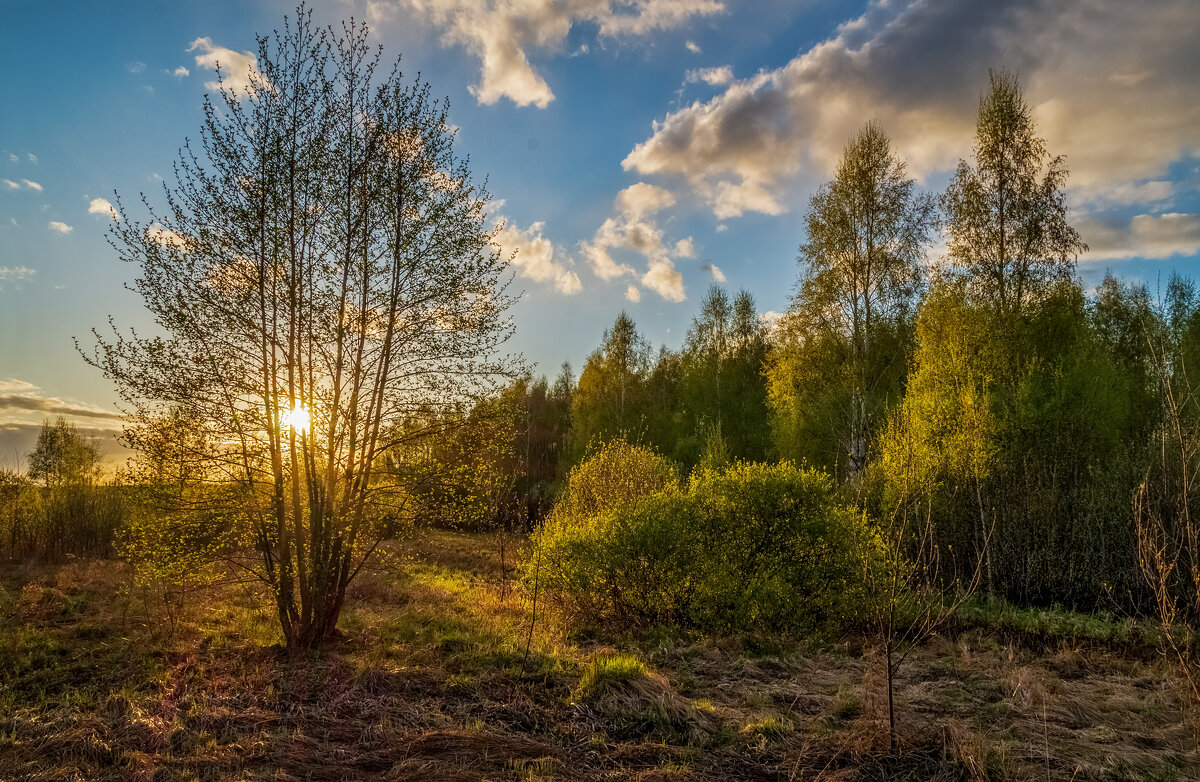 Весенний вечер 2 - Андрей Дворников