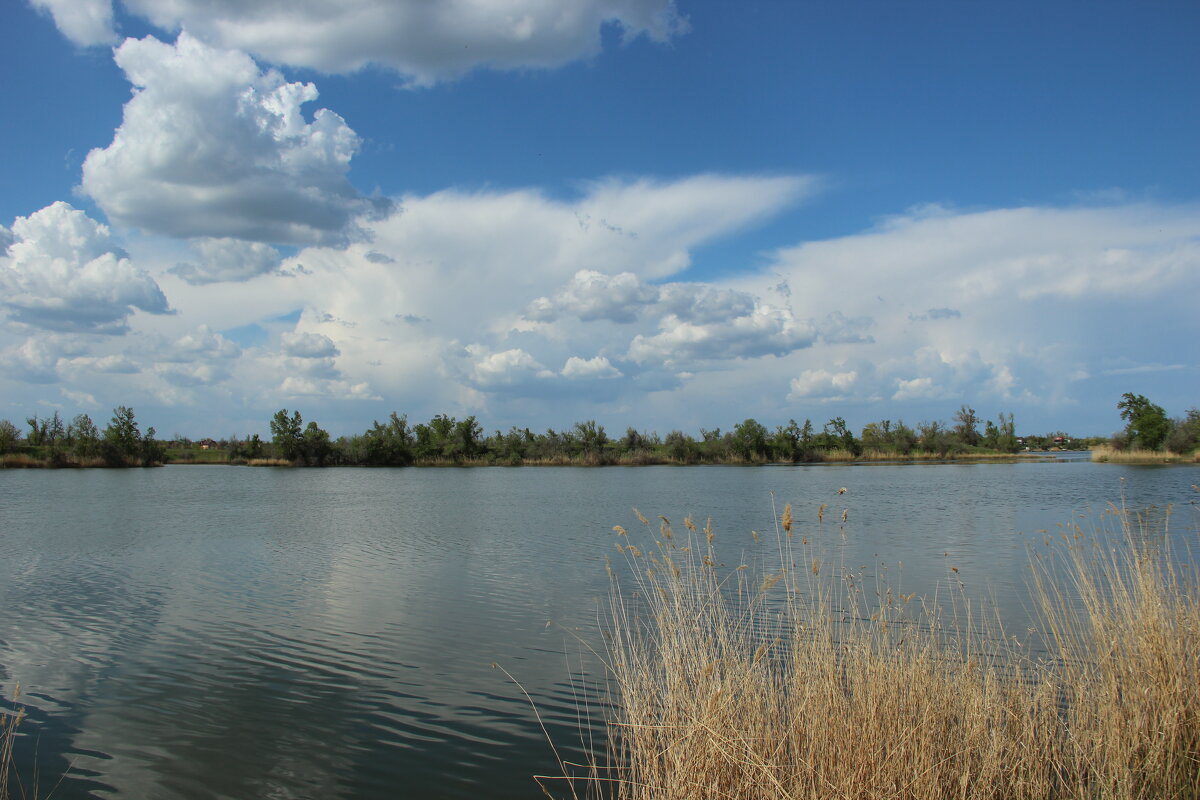 Местные виды. - Виктор Местные виды. - Виктор